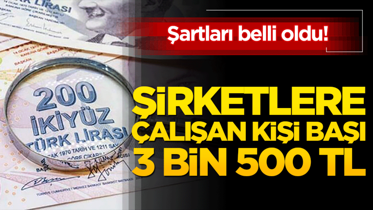 Şartları belli oldu! Şirketlere çalışan kişi başı 3 bin 500 TL
