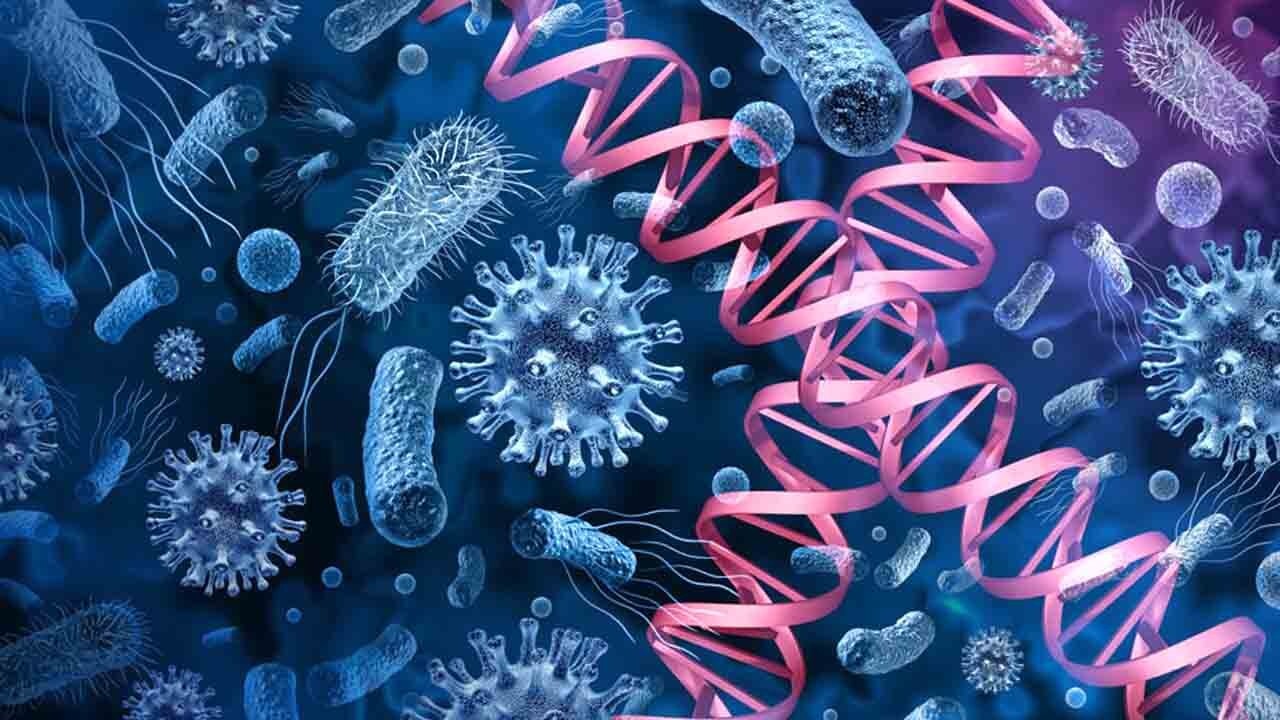 Sessiz tehdit büyüyor: Ölümcül mantar küresel alarma yol açtı