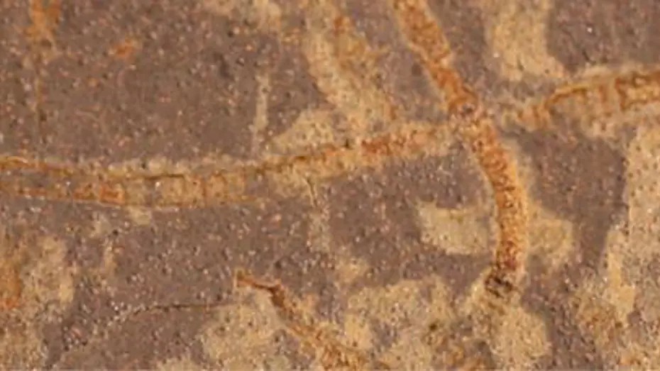 3,3 milyar yıllık kayalarda şok keşif! Kadim yaşam izleri bulundu