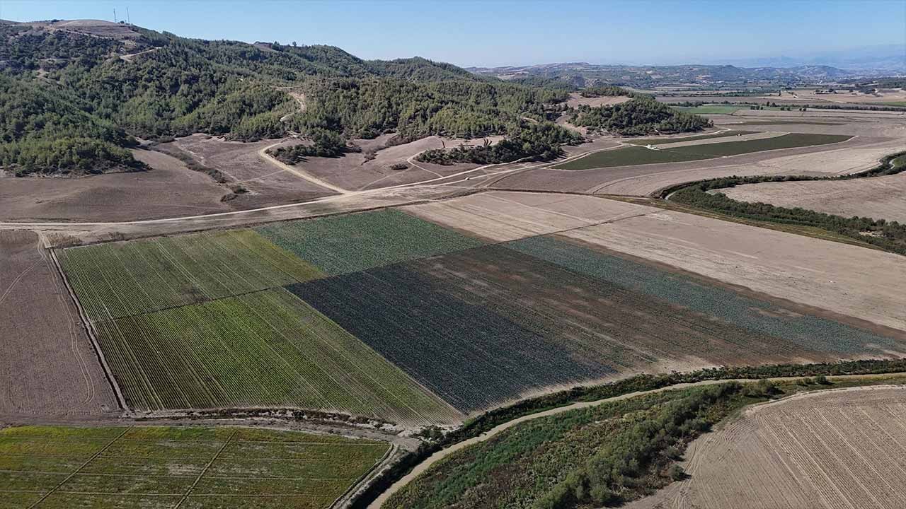 Adana’da baraj gölü kurudu! Çekilen sular tarım arazisine dönüştü