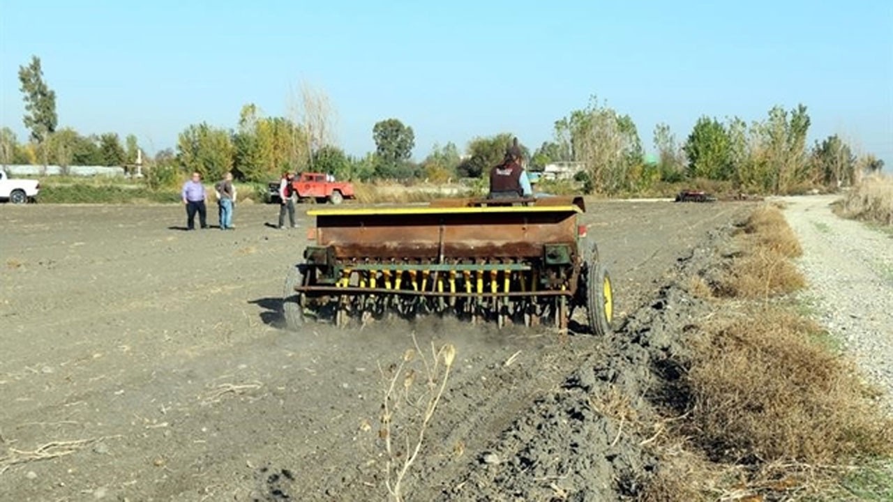 Adana’da mera seferberliği! 480 dekar arazi işgalden kurtarıldı