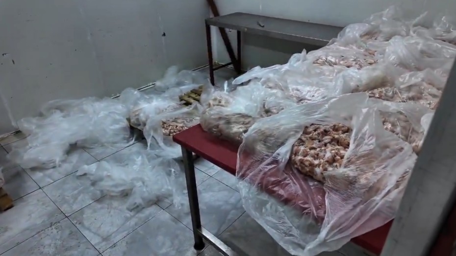 Antalya'da halk sağlığını tehdit eden ürünler ele geçirildi: 25 ton bozuk tavuk imha ediliyor