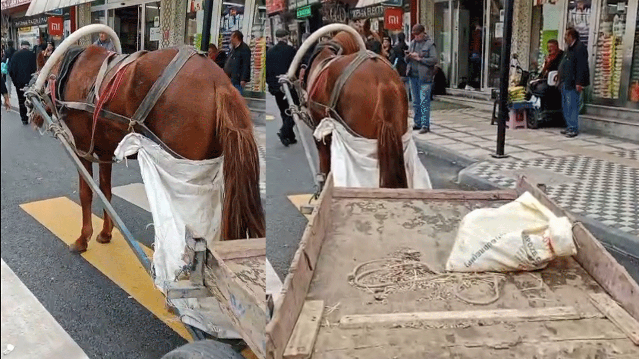 At arabasını yaya geçidine bıraktı! Hayatının şokunu yaşadı