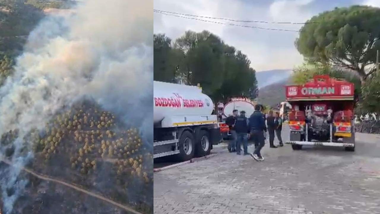 Aydın'da korkutan yangın! Ziraat alanında başlayıp ormana sıçradı