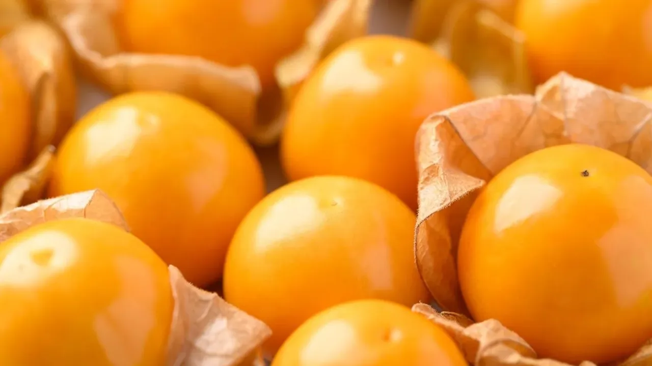 Az bilinen bu meyve umut olarak görülüyor!