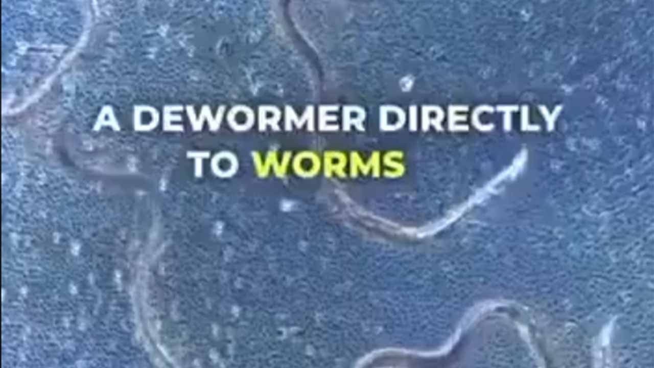 Bağırsak düşmanına doğal darbe! Vücuttaki parazitleri patır patır döküyor