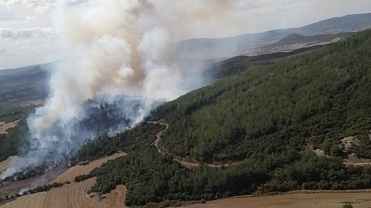 Binlerce hektar yandı… Şimdi nasıl yeşerecek? Çanakkale’de kritik çalıştay