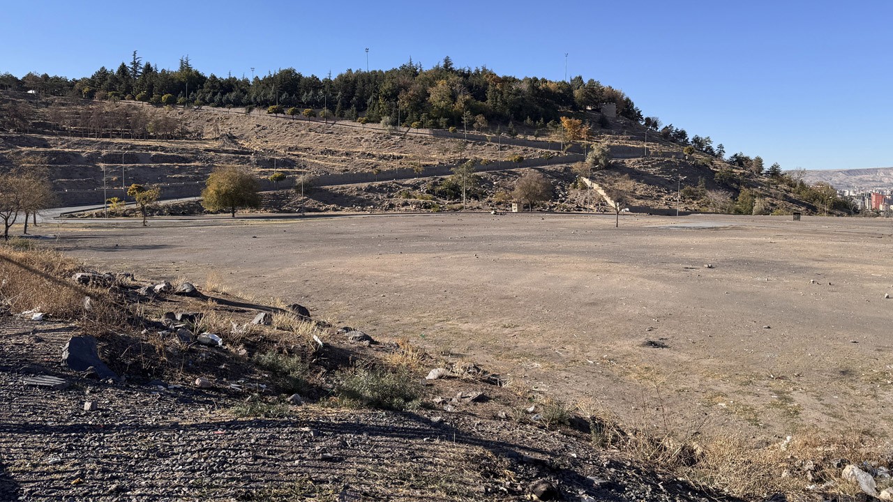 Bölgede yaşayanlar şaşkın: Bit pazarının altından bakın ne çıktı