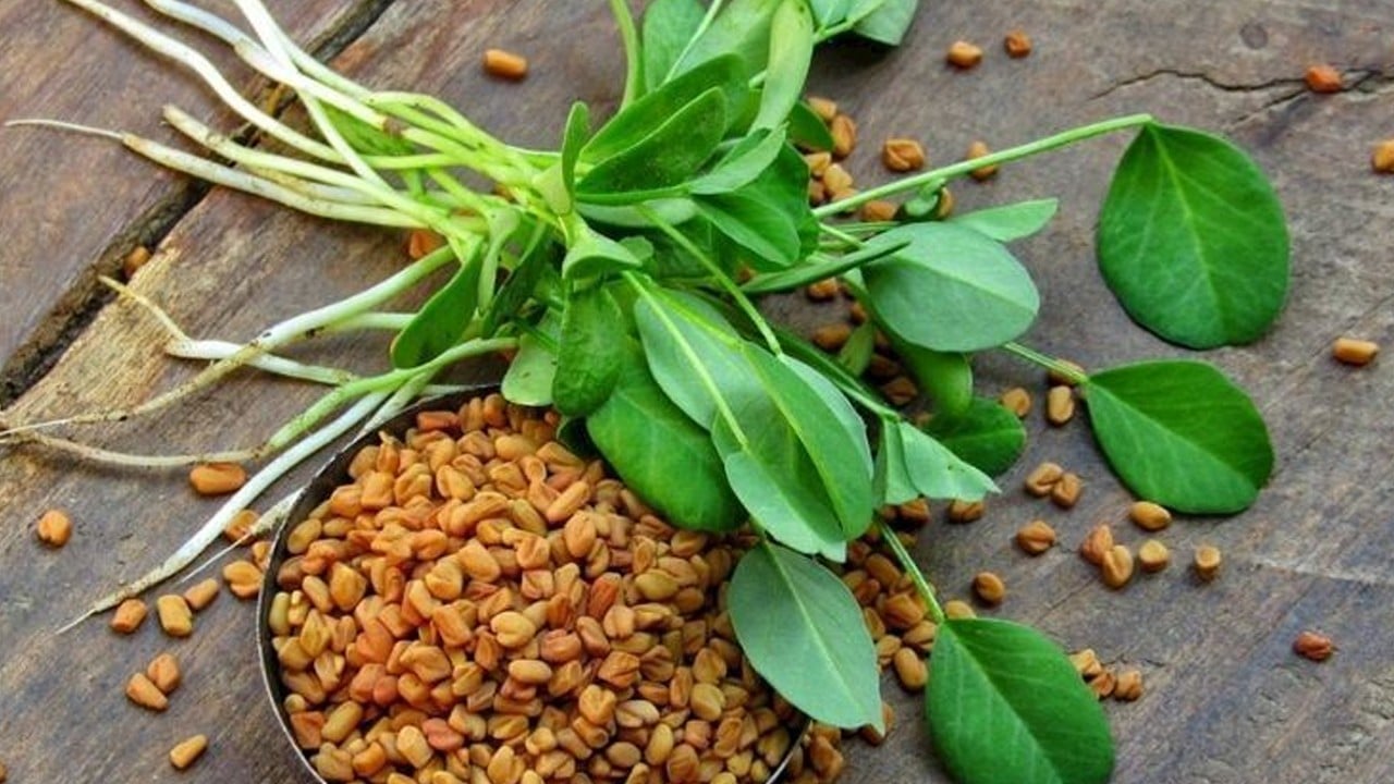 Çemen otu faydaları nelerdir? Çemen otu neye iyi gelir? Çemen otu ne zaman içilir?