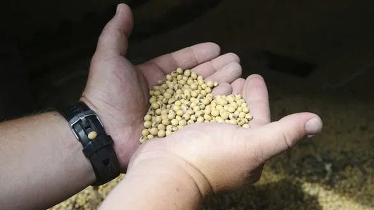 Çin, ABD soya alımlarını durdurdu: Ticaret ateşkesi hemen sarsıldı