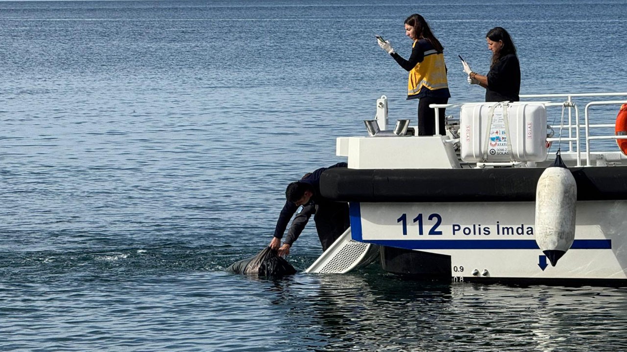 Denizde erkek cesedi bulundu