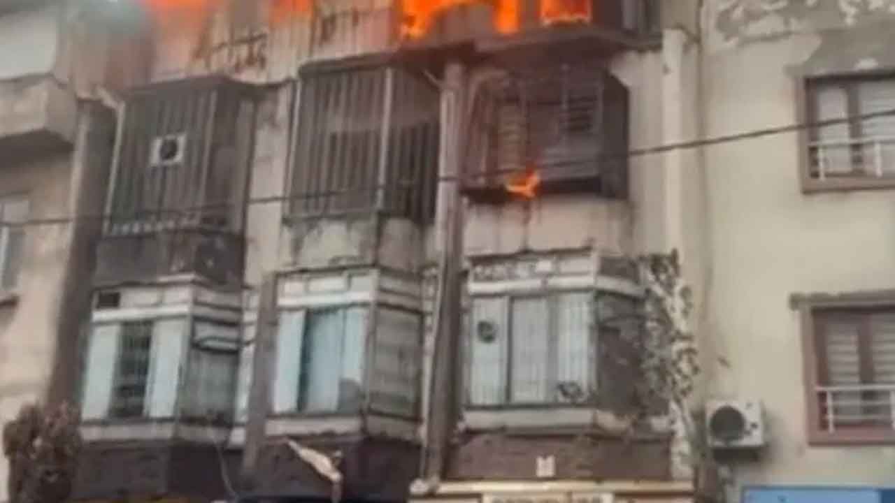 Diyarbakır'da kuş cenneti cehenneme döndü! Servet değerindeki güvercinler feci şekilde can verdi!