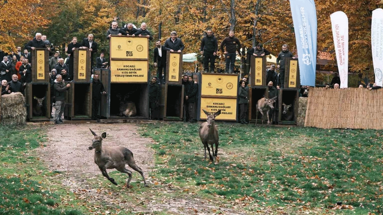 Doğaya yeniden hayat verildi! O anlar görenleri duygulandırdı