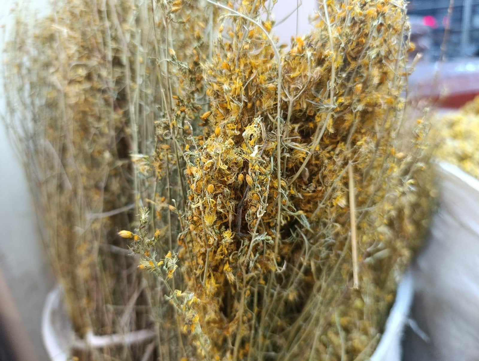 Enerji içecekleri sağlığınızdan etmesin! Kahramanmaraşlılar yapay içecekleri bırakıp şifayı doğada arıyor