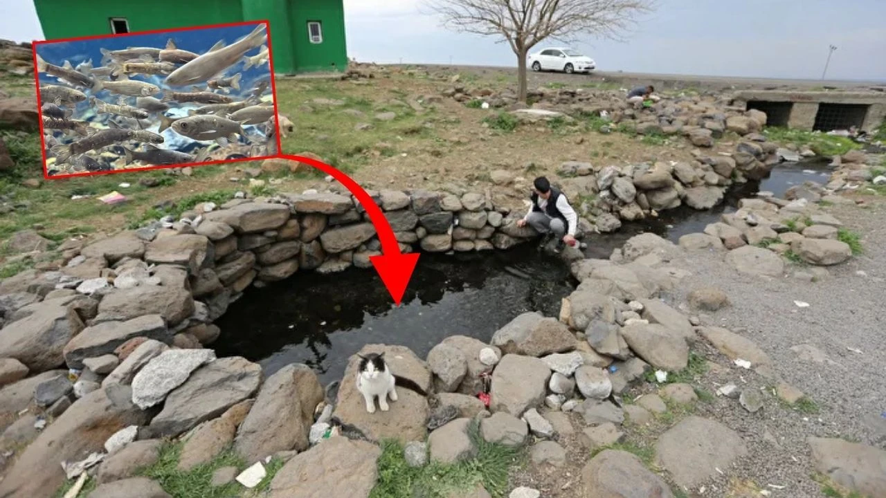 Eşi benzeri yok! Diyarbakır Mardin ve Şanlıurfa'nın kesiştiği yerde ortaya çıktı!