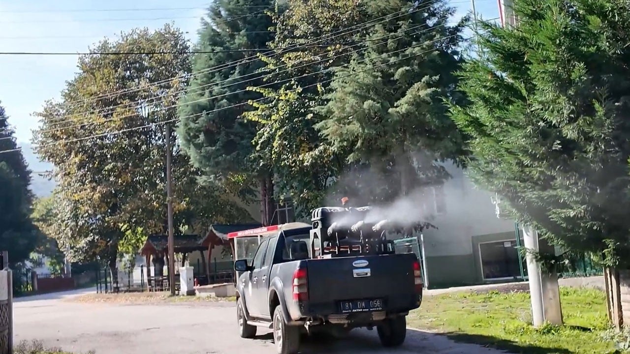 Fındığın baş düşmanı için seferberlik başladı