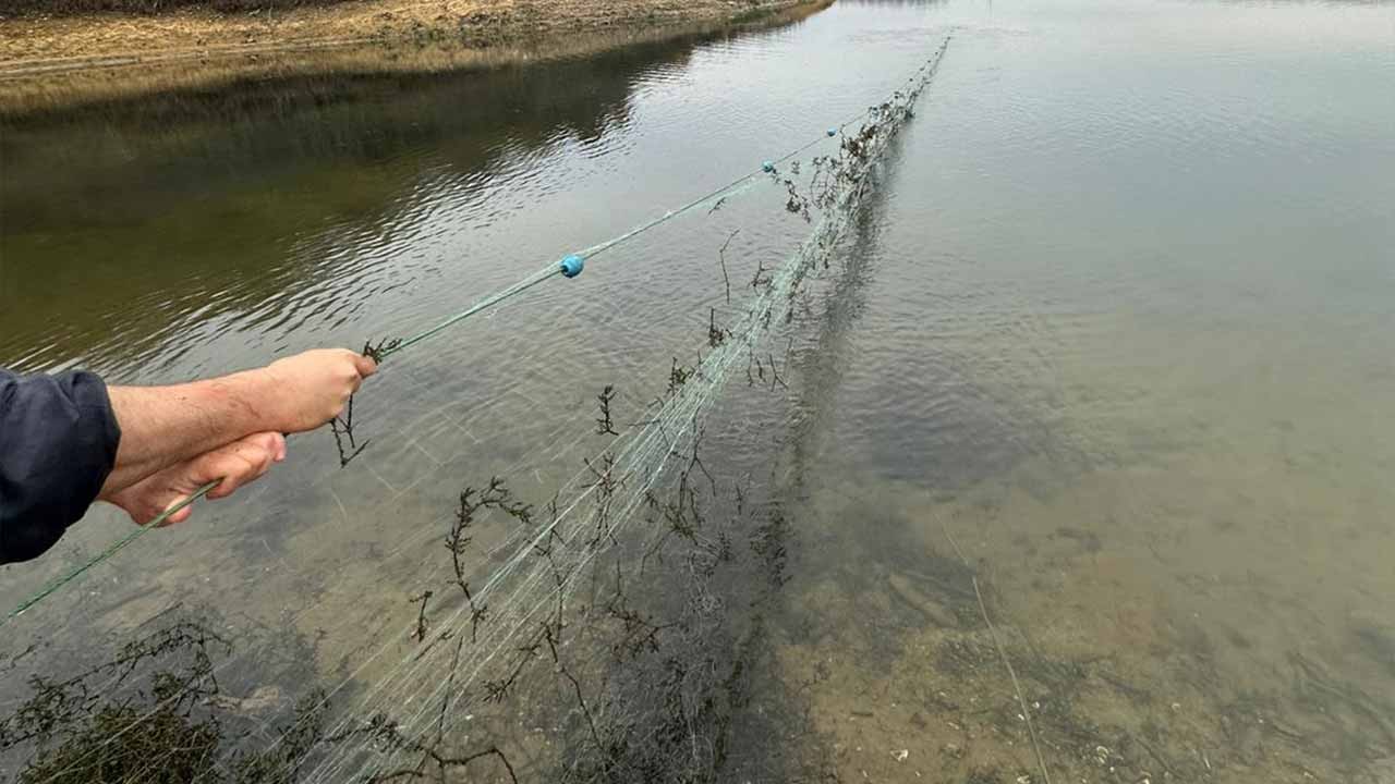 Gökyüzünden kaçış yok! Kandıra'da yasa dışı avcılara dronlu darbe