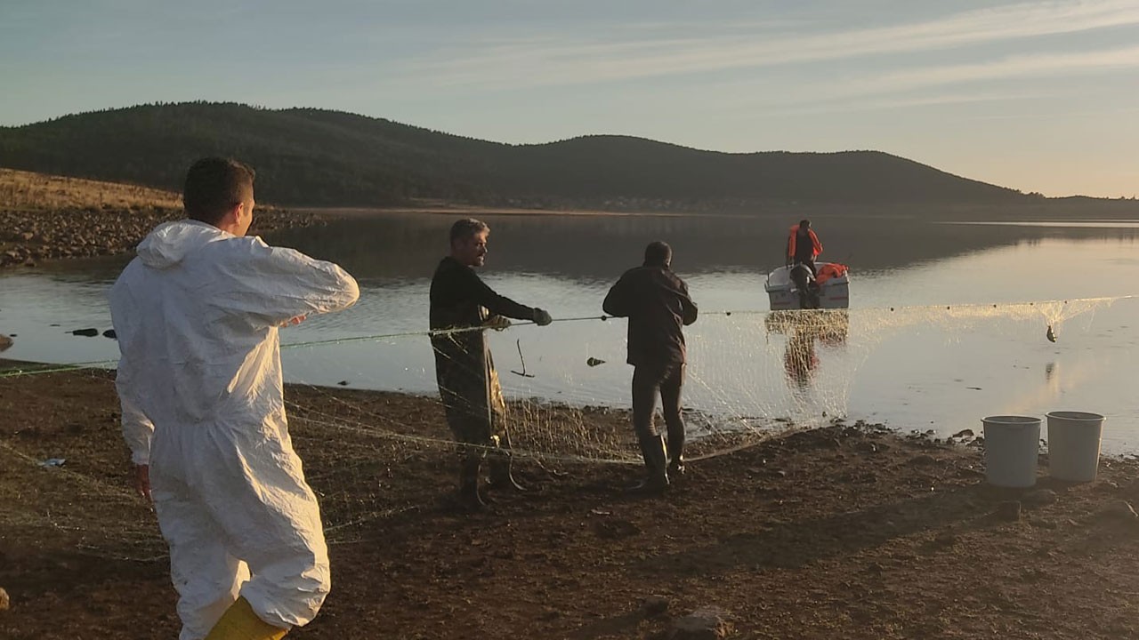 Gölette hayalet ağ paniği! 500 balık canlı kurtarıldı