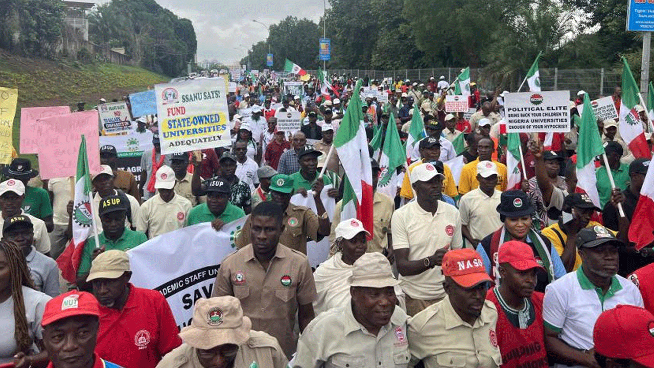 Grev yapan akademisyenler şokta! "İş yok, maaş yok"