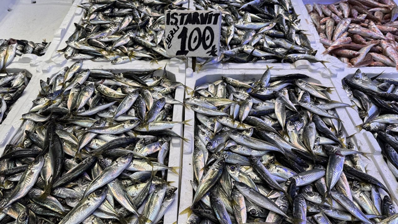 Hamsi ve istavritin fiyatını gören tezgahlara koştu