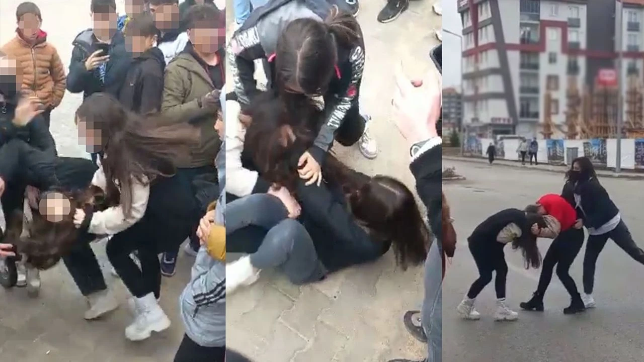 İnsan, hayvan, eğitim