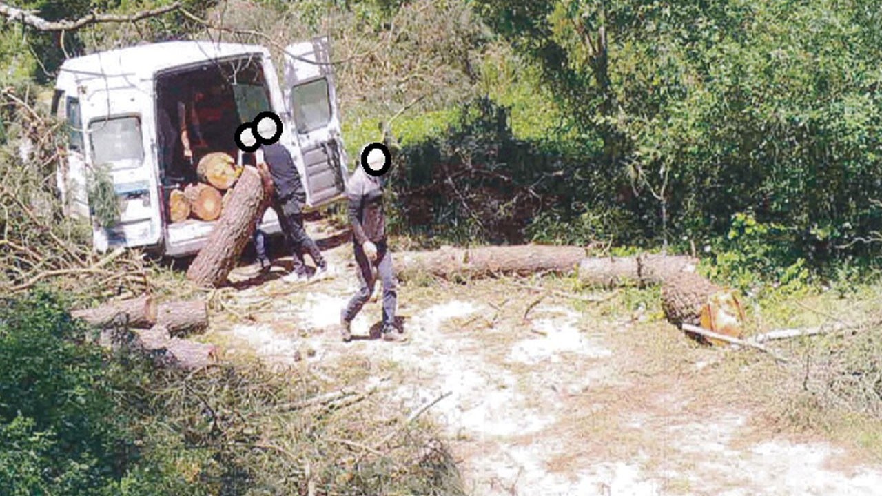 Kaçak kesime geçit yok! 7/24 sıkı denetim