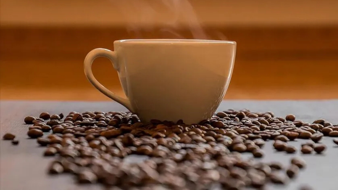 Brezilya Kahve İçin 737 Bin Hektar Orman Kesti: Yağış Azaldı, Kahve Geleceği Tehlikede!