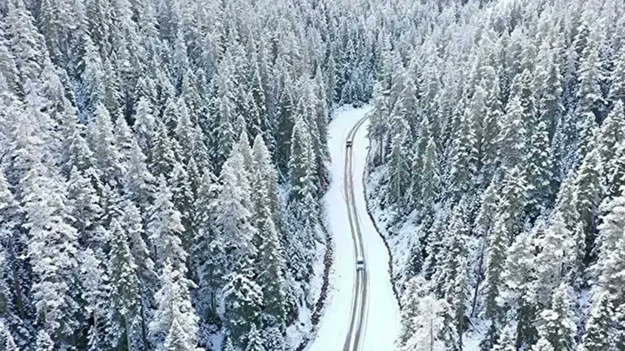 Kar yağışı etkili oluyor! Bolu gelinliğini giydi