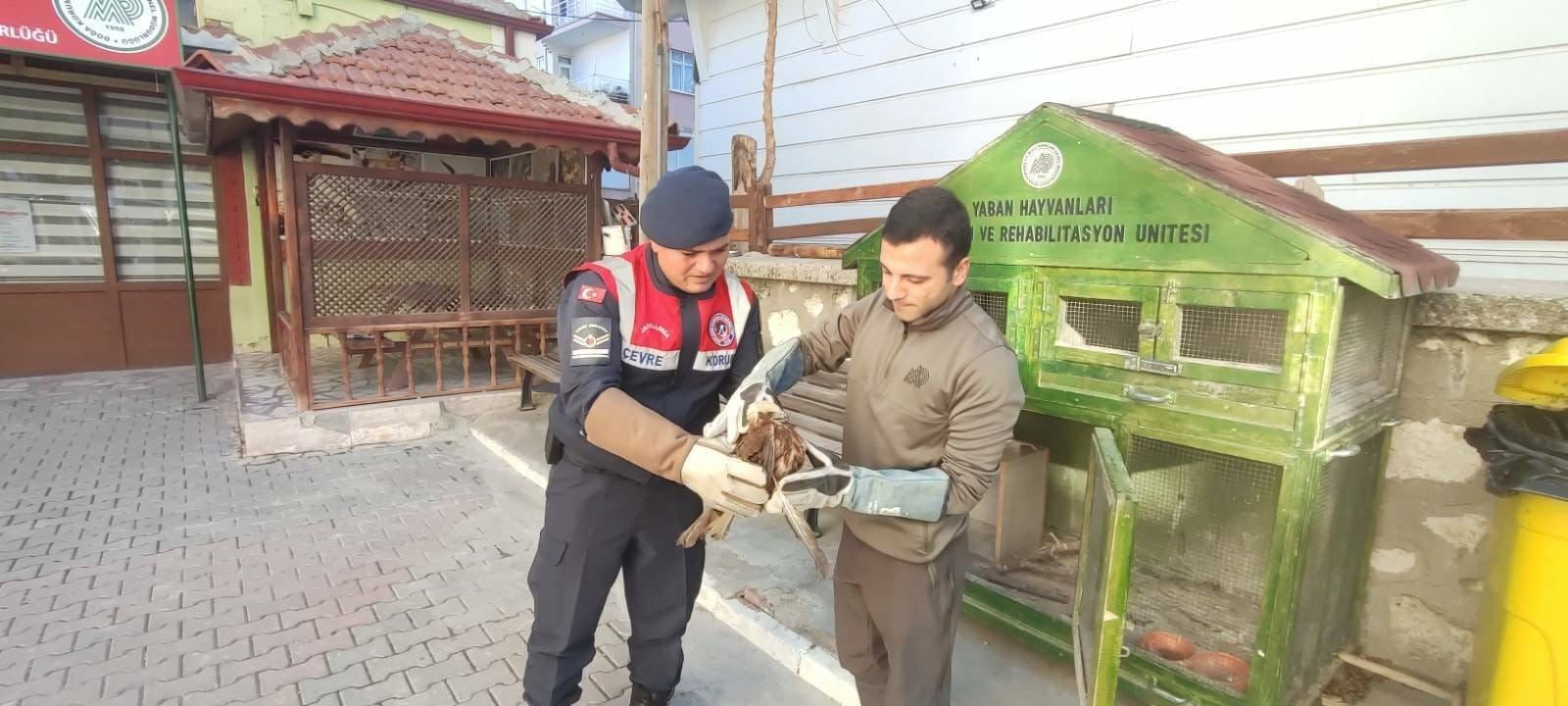 Karaman'da doğa tutkunlarını üzen olay! Bitkin haldeki o kuş için ekipler seferber oldu!