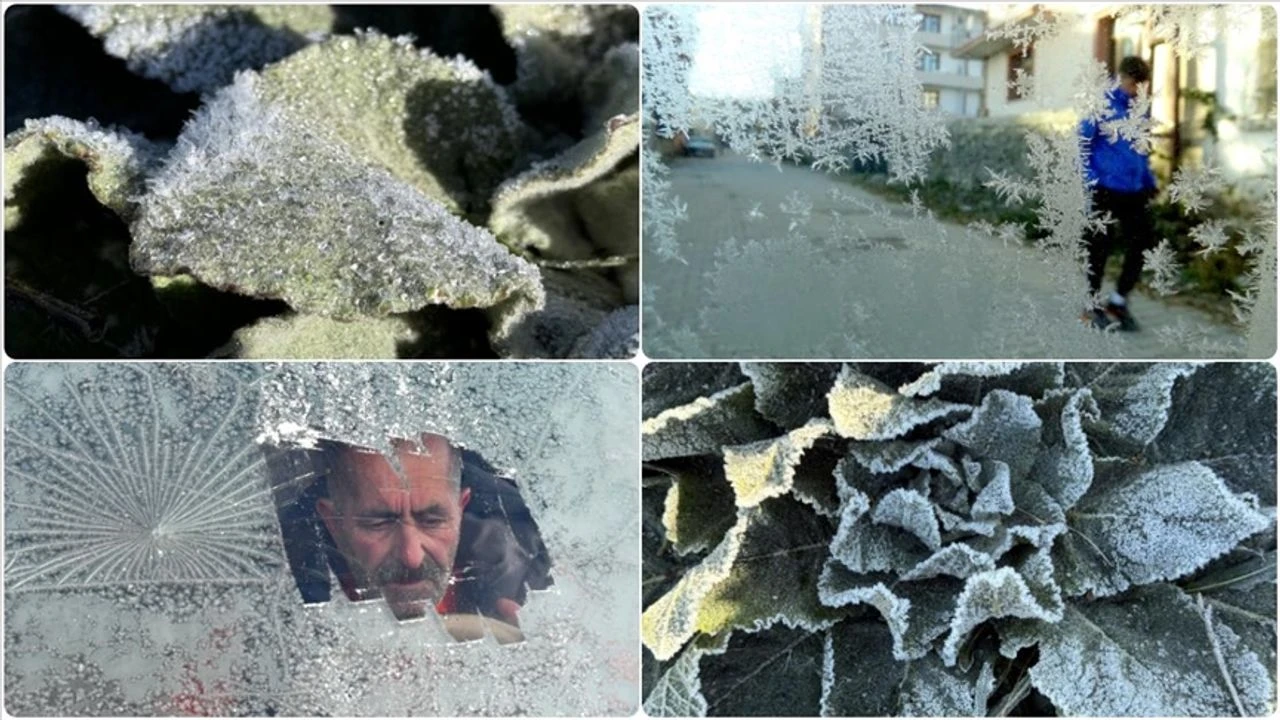 Kars'ta kırağı etkili oldu