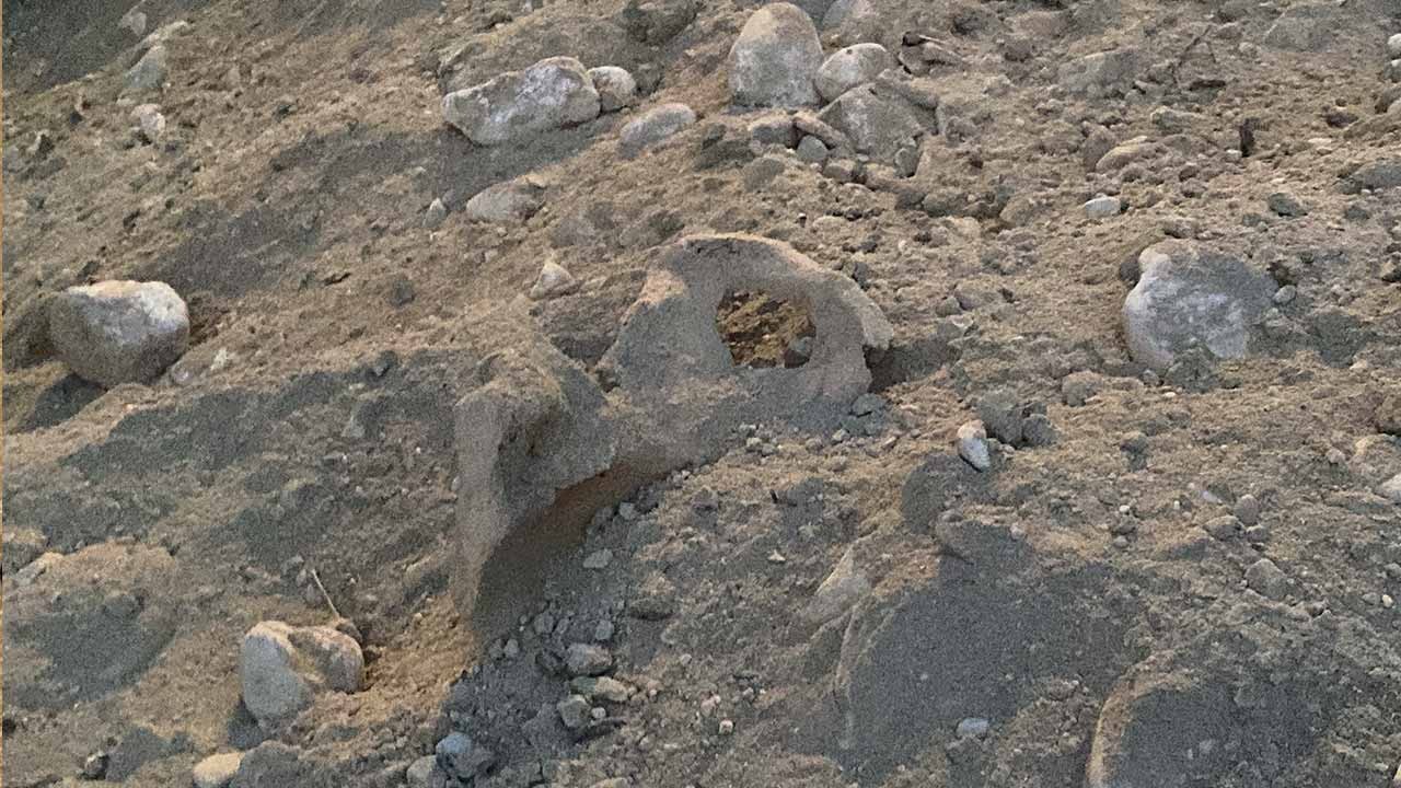 Kazı çalışmasında İnsan kemikleri ortaya çıktı