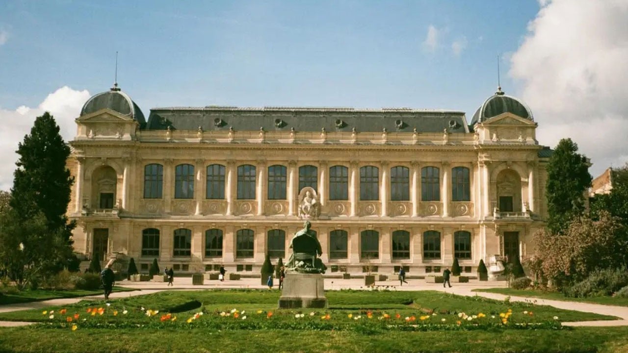 Müze soygununda iz bulundu! Çinli kadın Barselona’da yakalandı Fransa’ya iade edildi