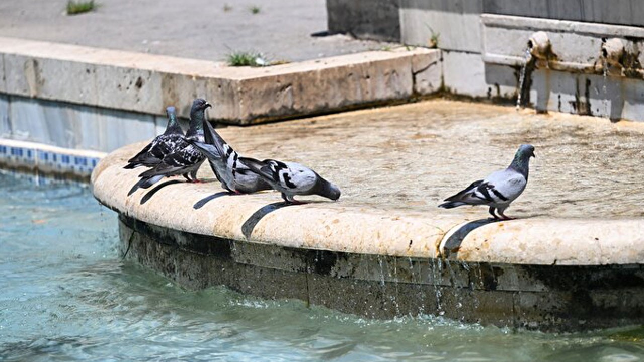 O ilimize sonbahar gelmedi! Termometreler 30 dereceyi gösteriyor