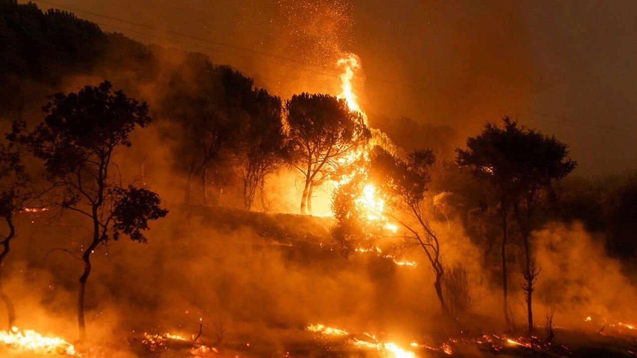 Ormanı yakan ahlaksıza 10 yıl hapis istemiyle dava açıldı