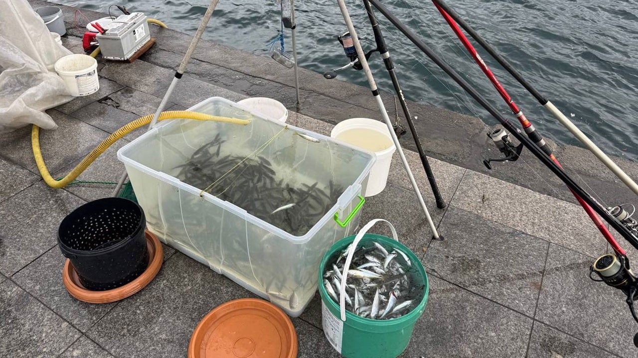 Soğuk, lodos, yağmur dinlemediler! Boğaz kıyısında kovalar doldu