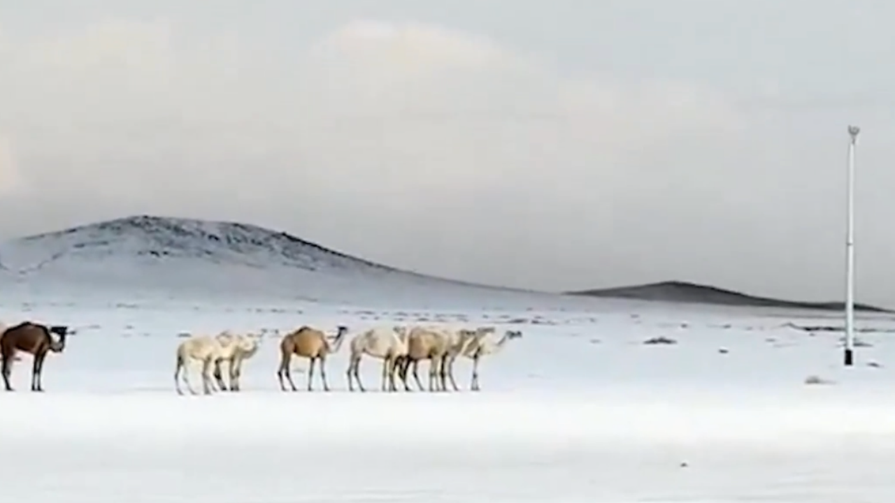 Suudi Arabistan’da kar yağdı: Beyaza bürünen çöl manzarası sosyal medyayı salladı