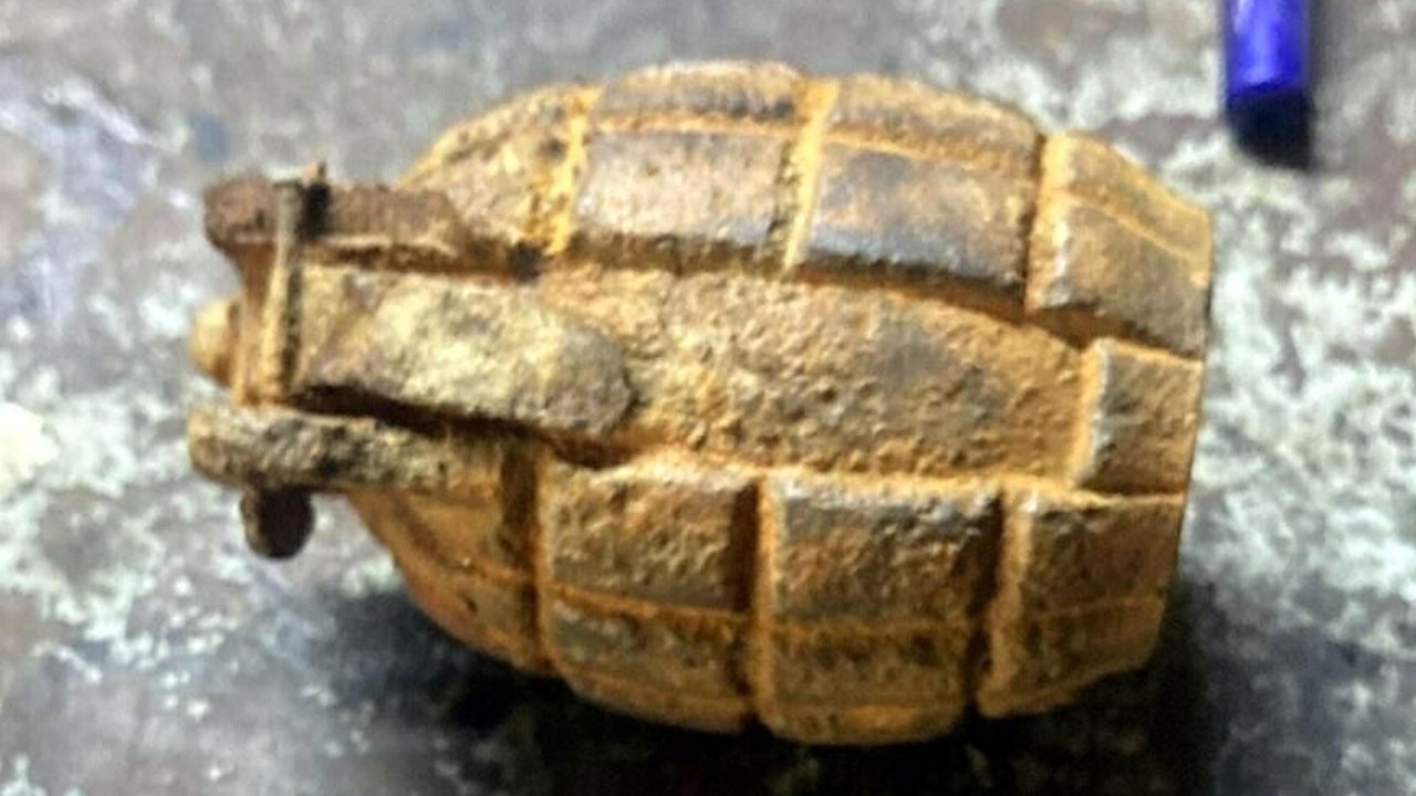 Tarlada buldu, dükkana götürdü! 10 yaşındaki çocuk herkesi korkuttu