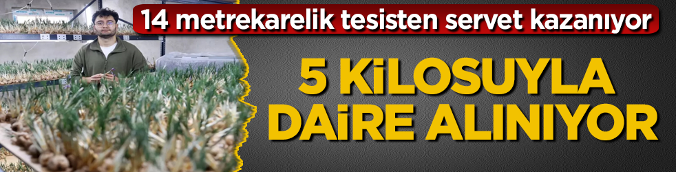 14 metrekarelik tesisten servet kazanıyor! 5 kilosuyla daire alınıyor: İlgilisi için sırrını da paylaştı