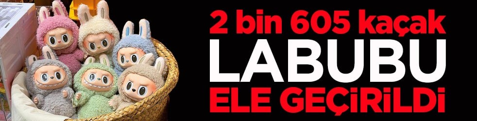 2 bin 605 gümrük kaçağı "Labubu" oyuncak ele geçirildi! Piyasa değeri 2 milyon TL