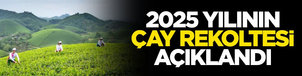 2025 yılının çay rekoltesi açıklandı