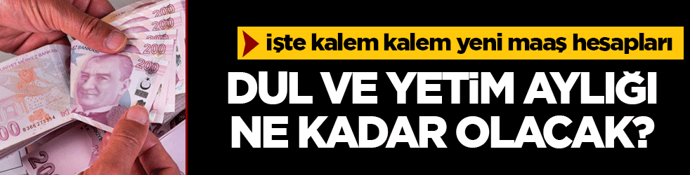 2026 dul ve yetim maaşı ne kadar olacak? Dul ve yetim aylığı nasıl hesaplanacak? 