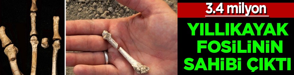  3.4 milyon yıllık ayak fosilinin sahibi ortaya çıktı! Şaşırtan keşif