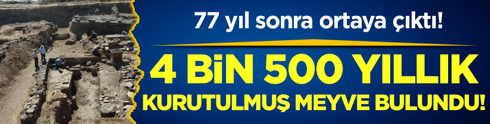 4 bin 500 yıllık kurutulmuş meyve bulundu! 77 yıl sonra ortaya çıktı!