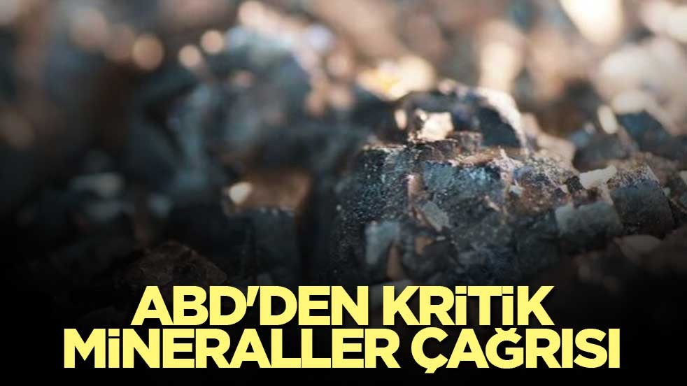 ABD'den kritik mineraller çağrısı