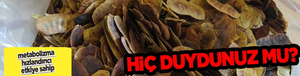 Açlık otunun faydaları nelerdir? Bu çay parazit düşmanı ve bağırsaklar güçlendiriyor! 