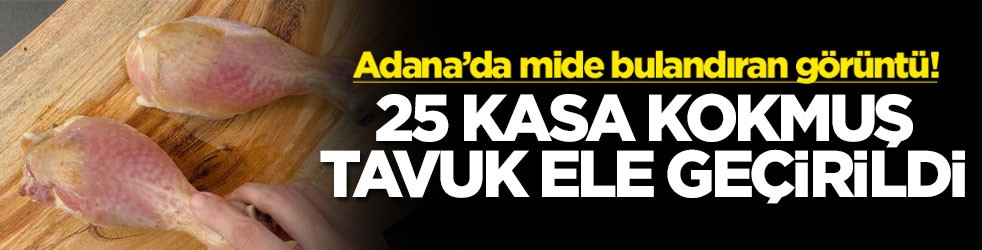 Adana’da mide bulandıran görüntü! 25 kasa kokmuş tavuk