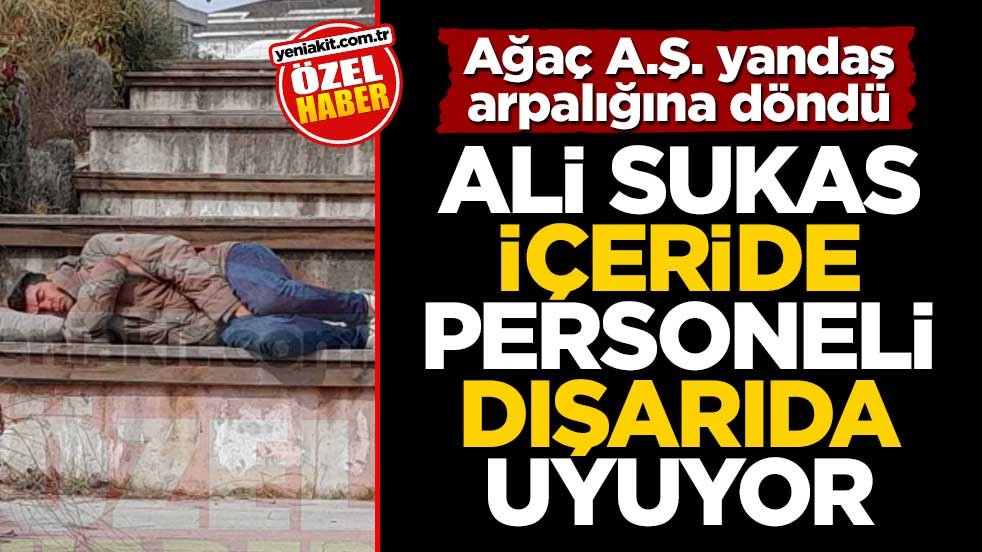 Ağaç A.Ş. yandaş arpalığına döndü! Ali Sukas içeride, personeli dışarıda uyuyor