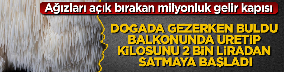 Ağızları açık bırakan milyonluk gelir kapısı! Doğada gezerken buldu, balkonunda üretip kilosunu 2 bin liradan satmaya başladı