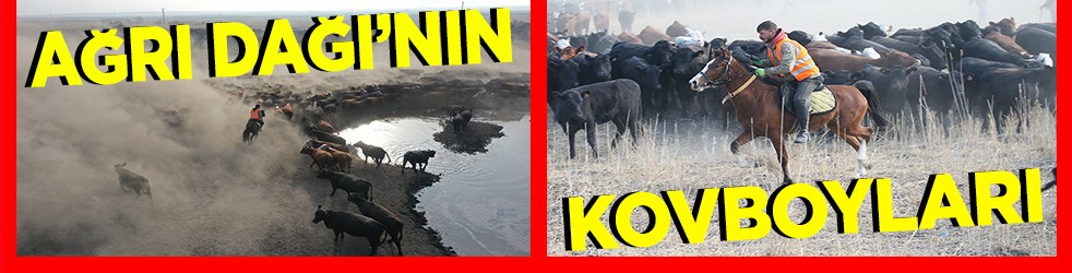 Ağrı Dağı'nın kovboyları