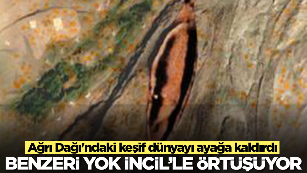 Ağrı'daki keşif dünyayı ayağa kaldırdı: 'Benzeri yok, İncil'le örtüşüyor' 